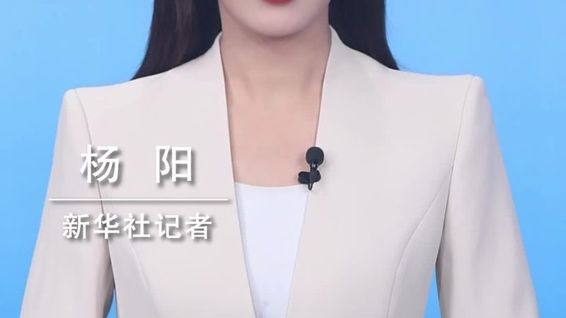 数据湖解决方案：揭秘其优势与挑战